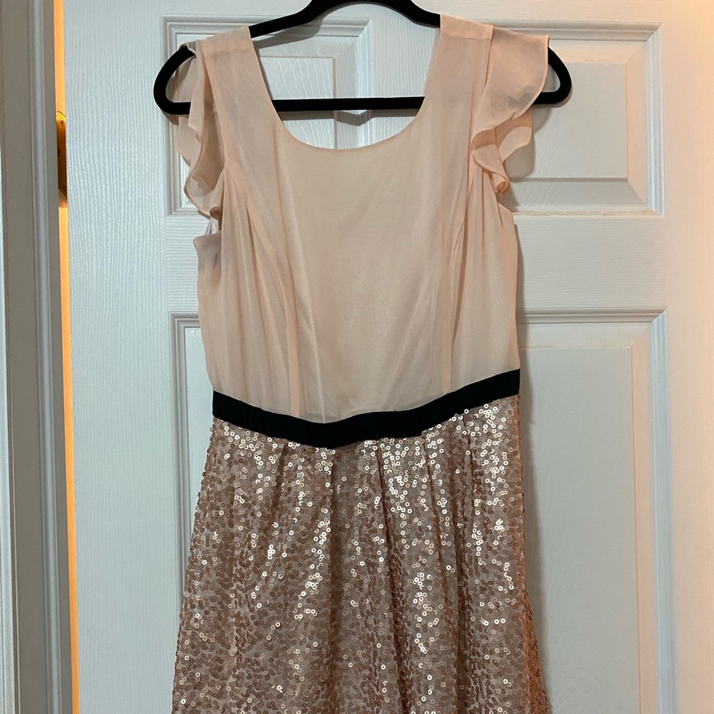 Sequin Dress